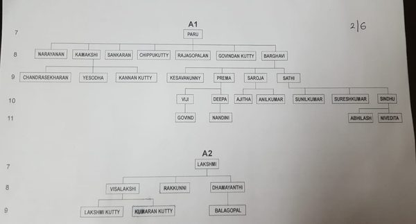 Genealogy sub-branches A1 and A2