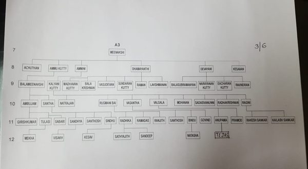 Genealogy sub-branch A3