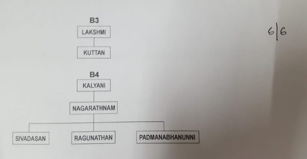 Genealogy sub-branches B3 and B4