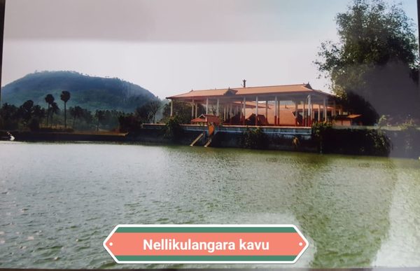 Nellikulangara Kavu temple beside a tank, Vellangi